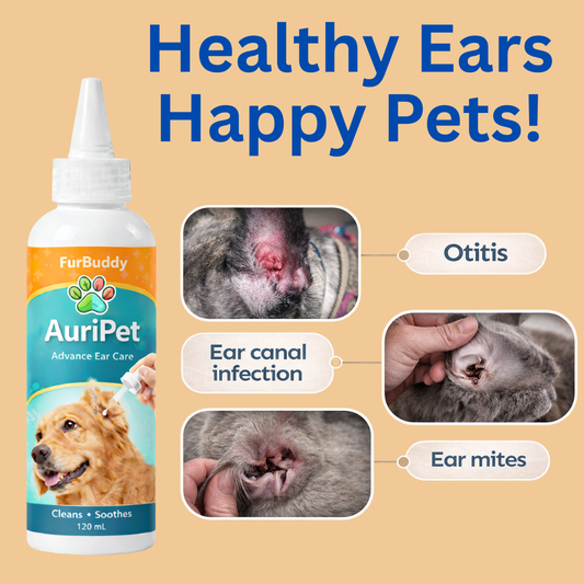 Furbuddy's New! AuriPet Advance Ear Care
