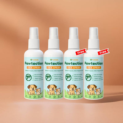 2 + 2 Free (4 Pcs)