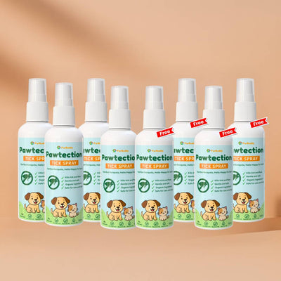 4 + 4 Free (8 Pcs)
