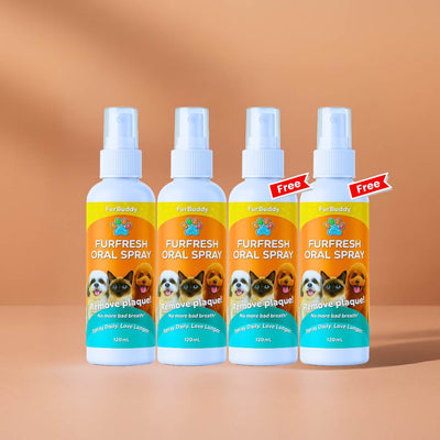 2 + 2 Free (4 Pcs)