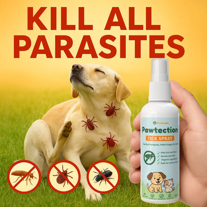 Pawtection Tick Spray for Cat & Dogs